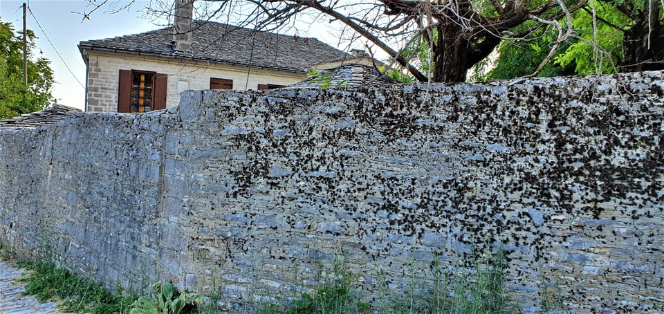 Ταξίδι στον Ελαφότοπο