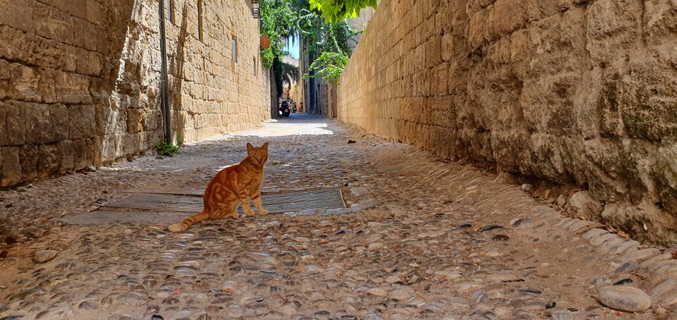 Η Παλιά Πόλη της Ρόδου