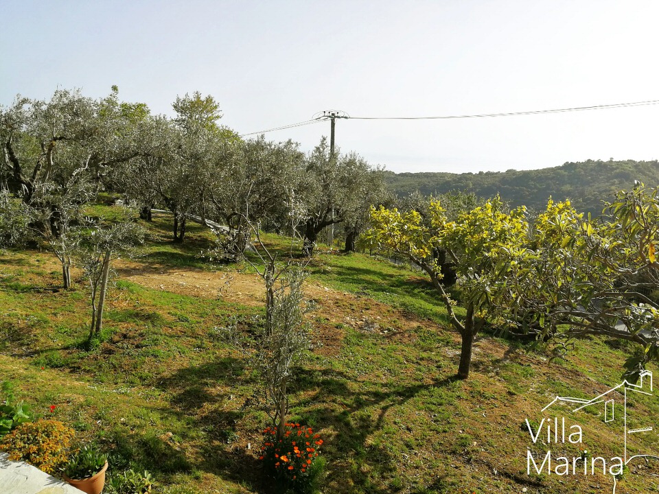 Η Villla Marina στις Μηλιές Πηλίου