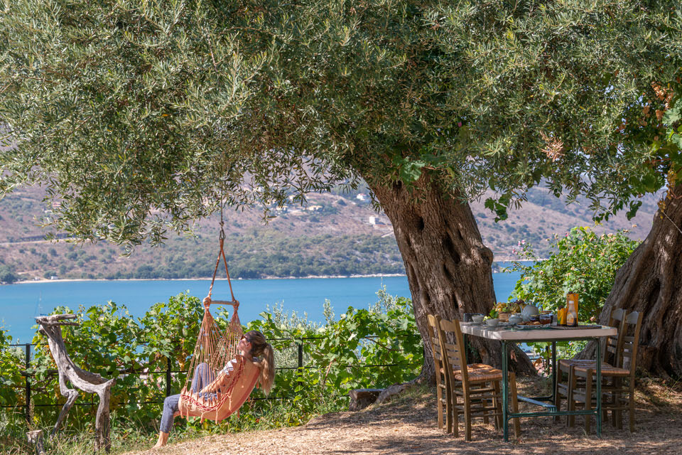 Liodentro-Olea: Αξέχαστη διαμονή σε τρεις παραδοσιακές κατοικίες μέσα στη φύση στον όρμο της Πλαταριάς