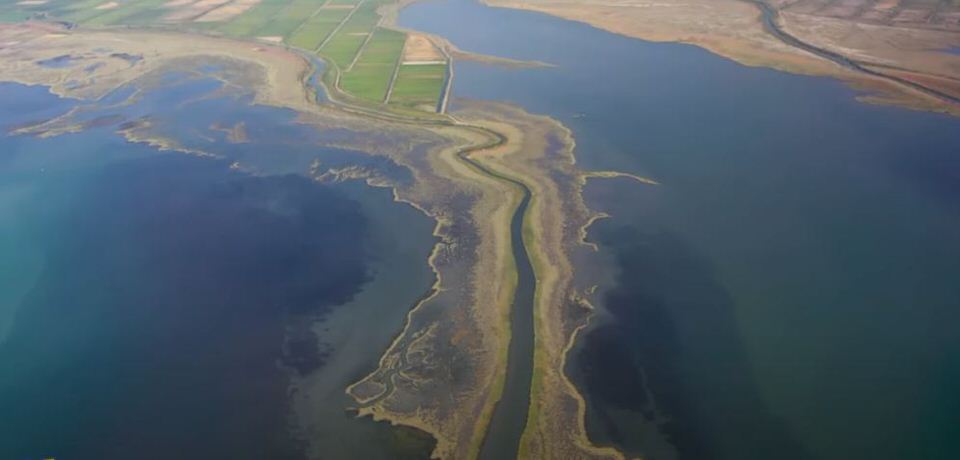 Εκβολές Σπερχειού Ποταμού: "Ο πράσινος πλανήτης" το πιο απόκοσμο τοπίο στην Ελλάδα (video)