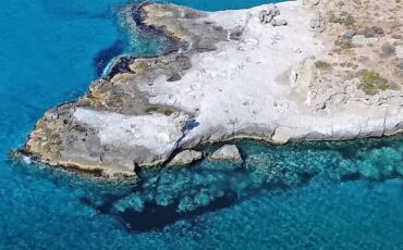Αυτό είναι το μοναδικό απολιθωμένο φοινικόδασος της Ευρώπης στην άκρη της Ελλάδας ηλικίας 3.000.000 ετών