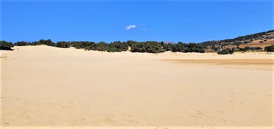 Πυργάκι Νάξου: Η παραλία των 3 χιλιομέτρων με τους σπάνιους σκιερούς κέδρους