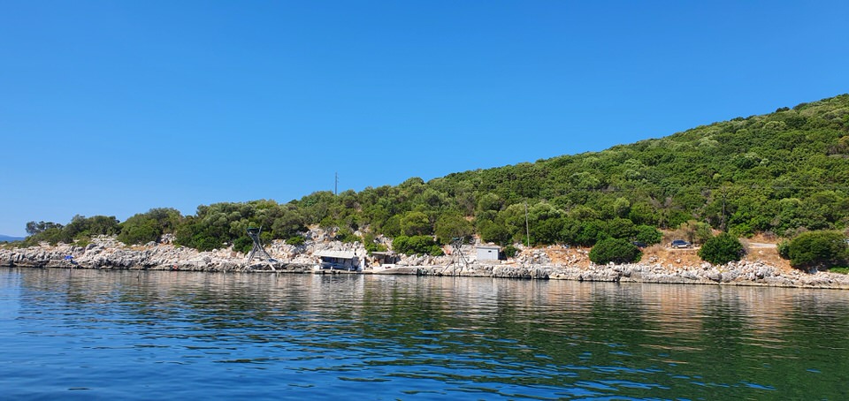 Ημερήσια κρουαζιέρα στον Αμβρακικό παρέα με τα δελφίνια! (video)