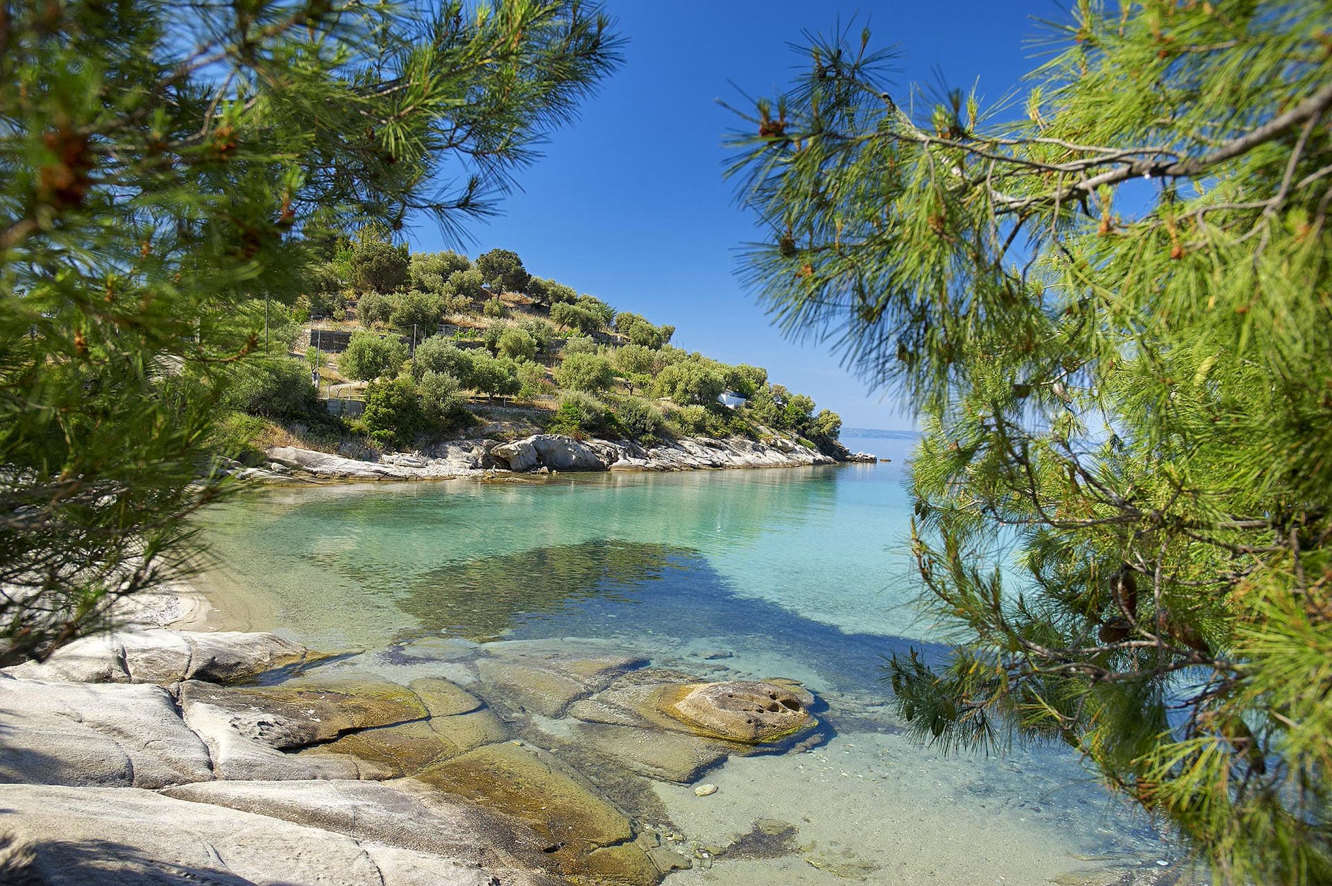 Οι 8 παραλίες της Χαλκιδικής που επιβάλλεται να κάνεις μία βουτιά!Πηγή φωτογραφίας: https://www.visit-halkidiki.gr/