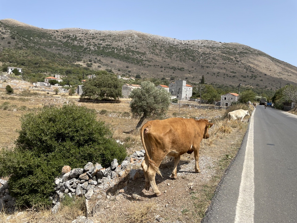 Πύρριχος: Οδοιπορικό στην αρχαία πόλη της Μάνης