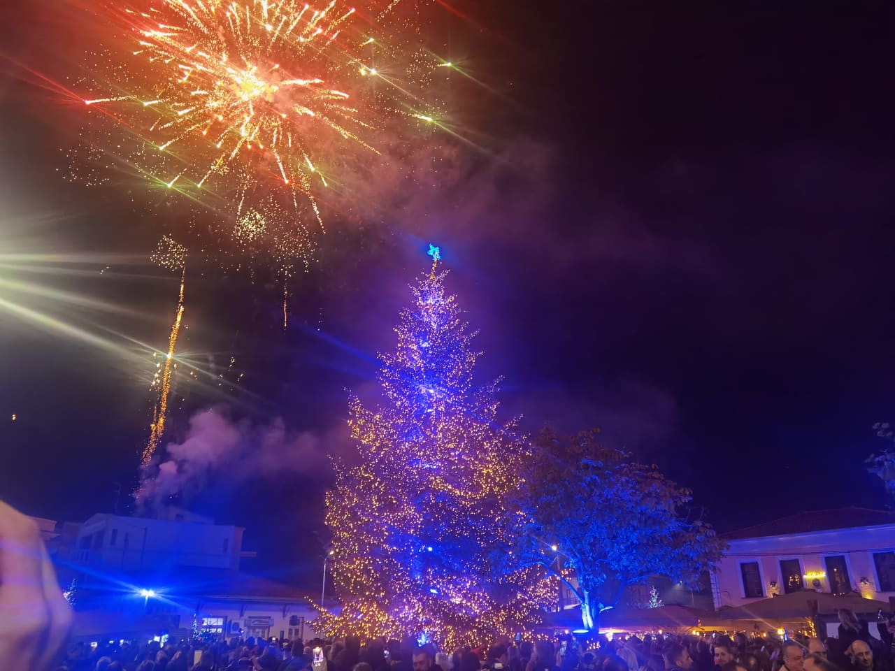 Φωταγωγήθηκε το δέντρο από τα Καρπάθια στο Δήμο Ιστιαίας Αιδηψού