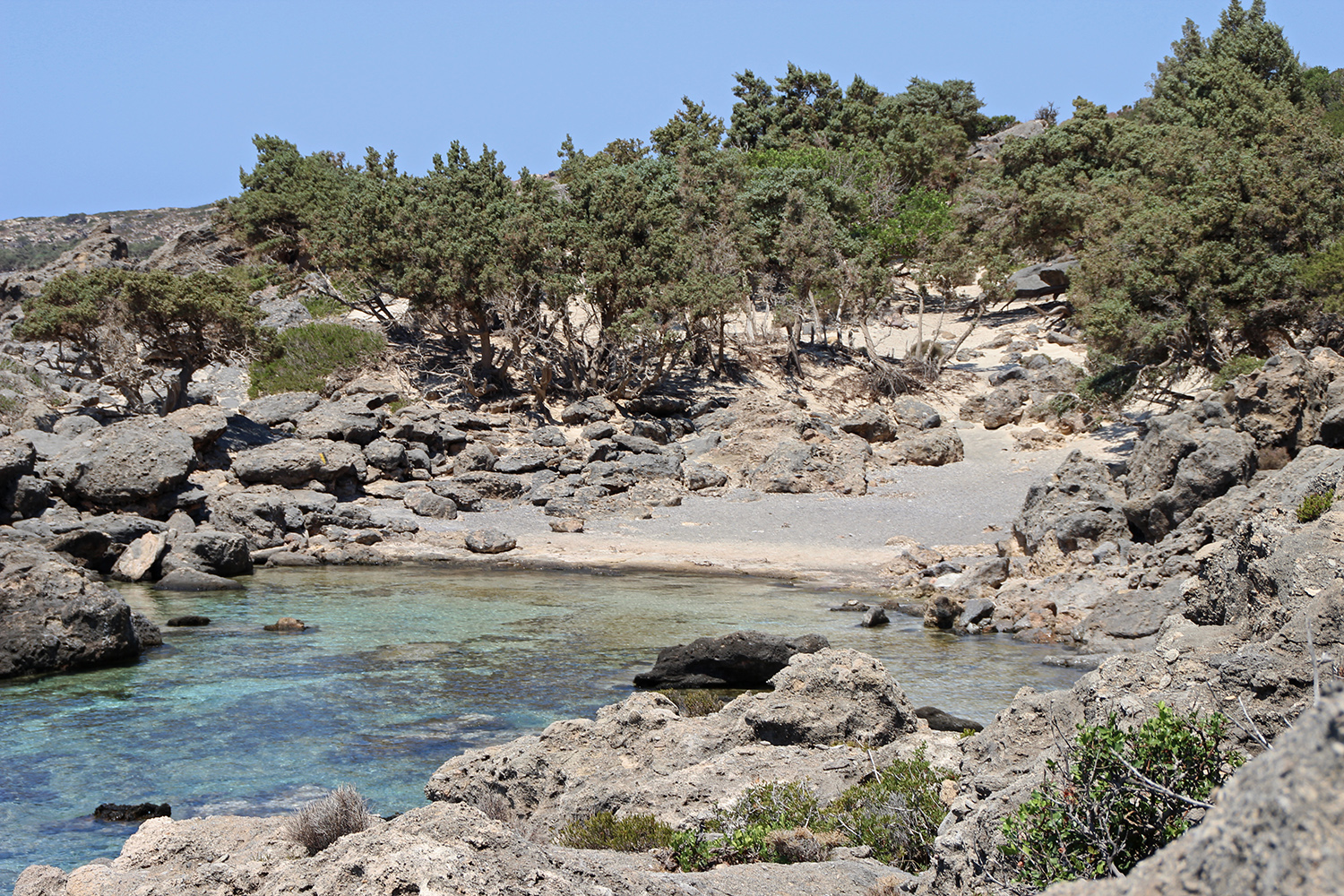 Κεδρόδασος Χανίων: Ταξίδι στον παράδεισο της Κρήτης