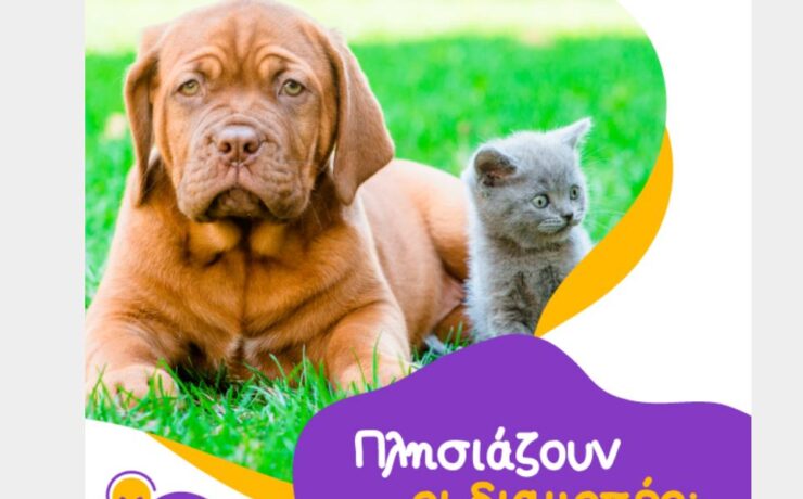 5 tips για ιδανικές διακοπές με το pet σου!