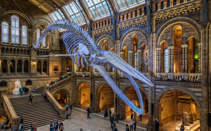 Ταξίδι στο Λονδίνο: Τα μουσεία που πρέπει να επισκεφθείς