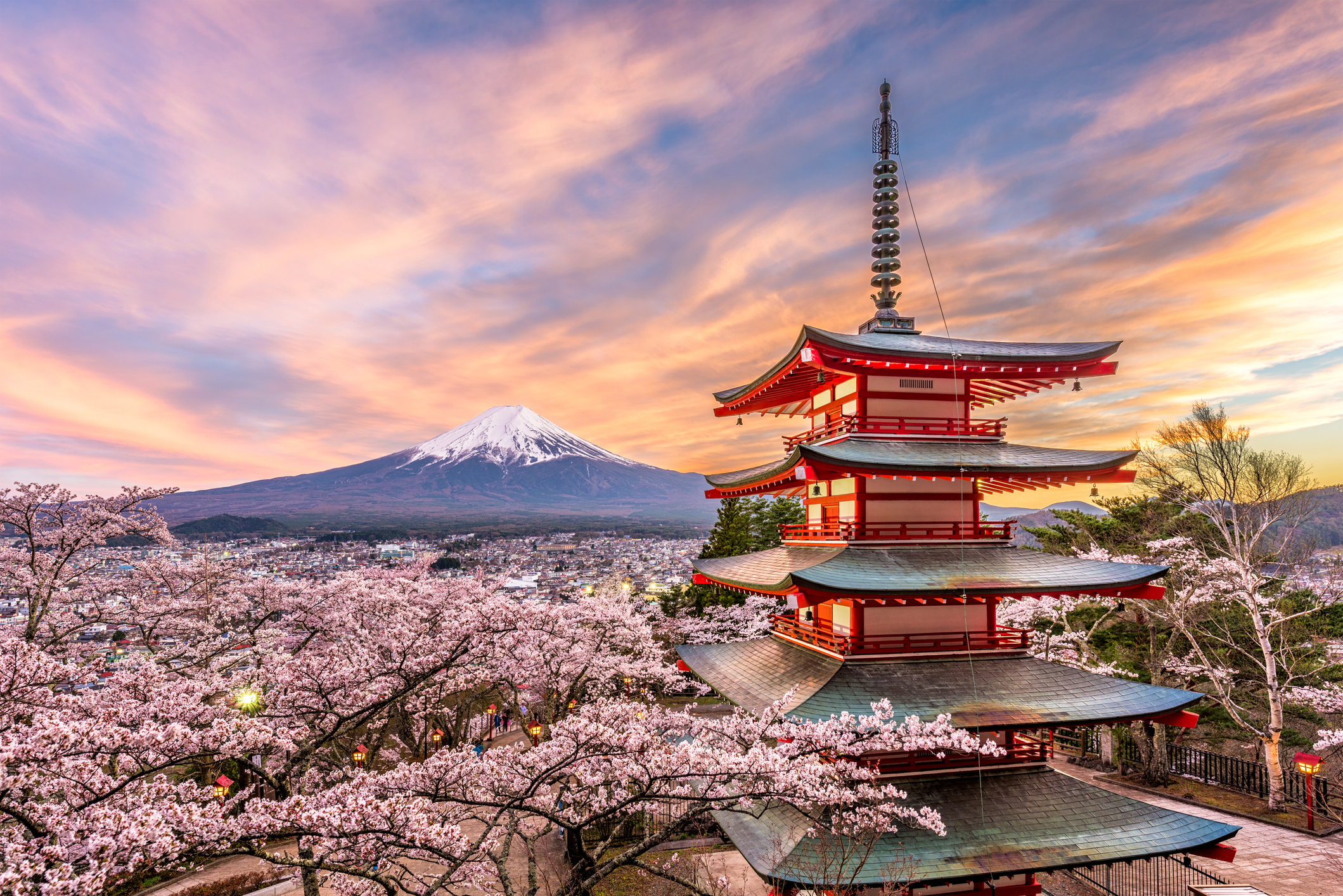 Sakura: Οι ανθισμένες κερασιές στην Ιαπωνία θυμίζουν πίνακα ζωγραφικής