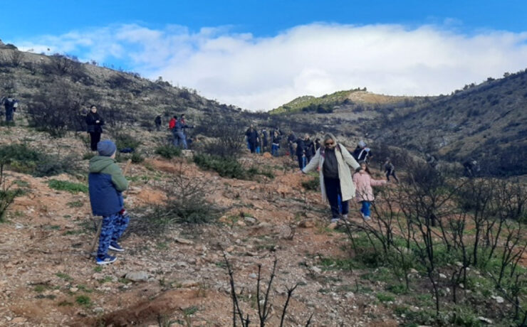 Αφήστε το Αποτύπωμά σας: 1η Δενδροφύτευση στον Υμηττό!