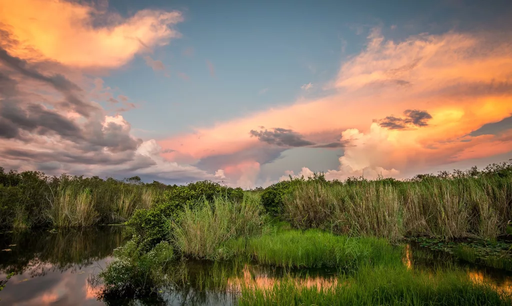 Εθνικό Πάρκο Everglades