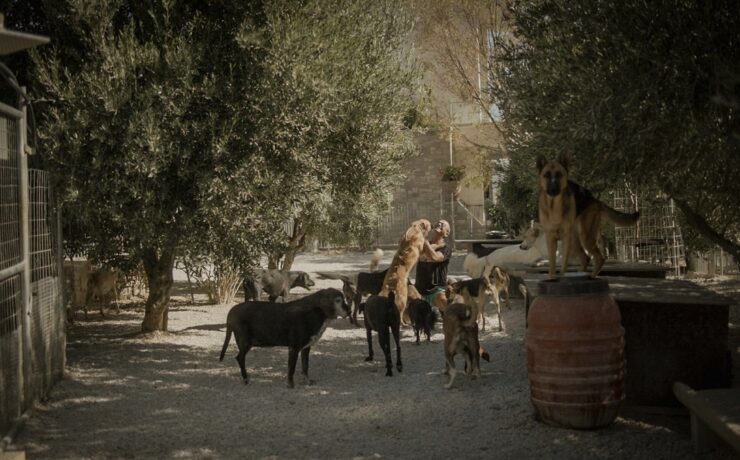 Το ντοκιμαντέρ «Takis.» στο 27ο Φεστιβάλ Ντοκιμαντέρ Θεσσαλονίκης